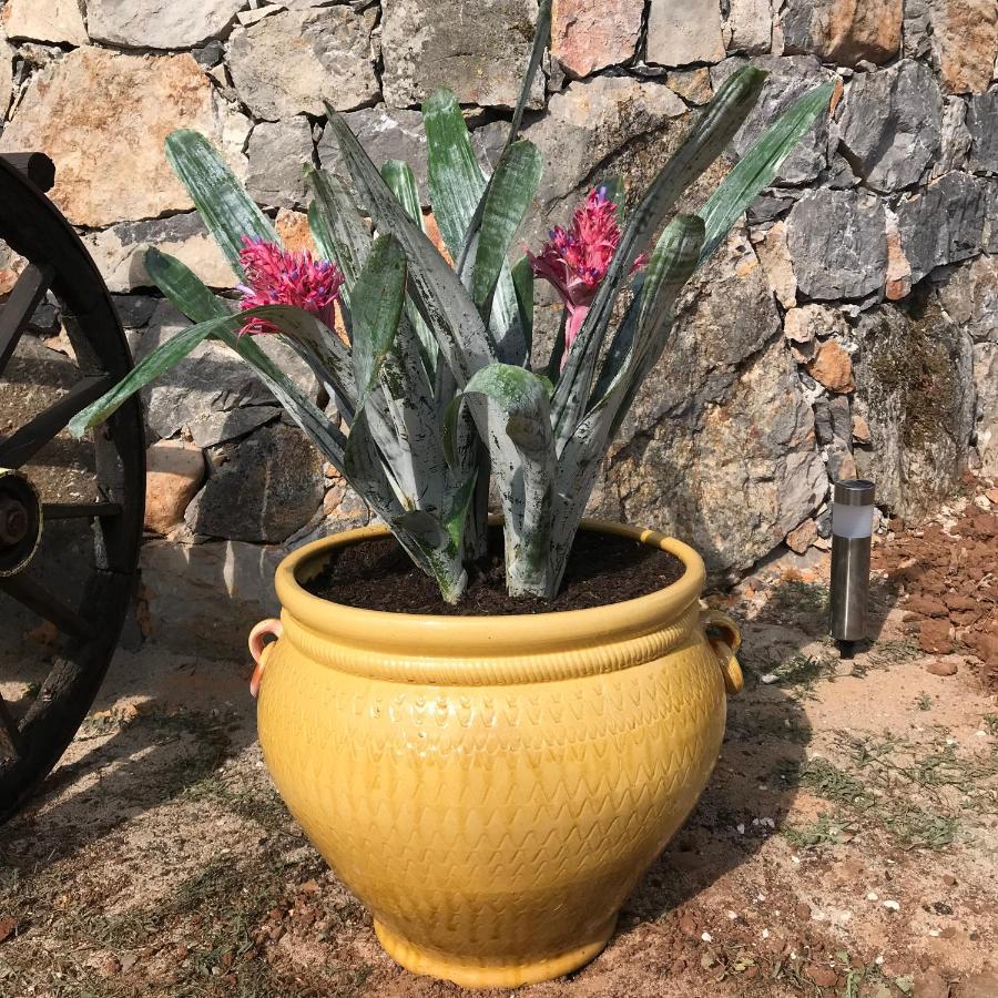 Moradia Rural De Charme Agradavel E Acolhedora Villa Arrimal ภายนอก รูปภาพ