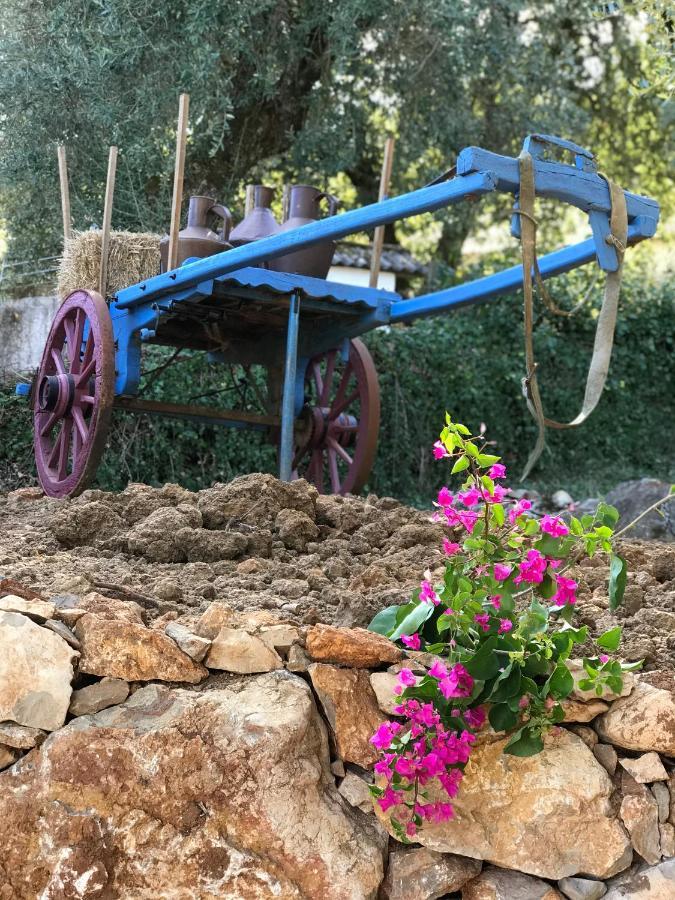 Moradia Rural De Charme Agradavel E Acolhedora Villa Arrimal ภายนอก รูปภาพ