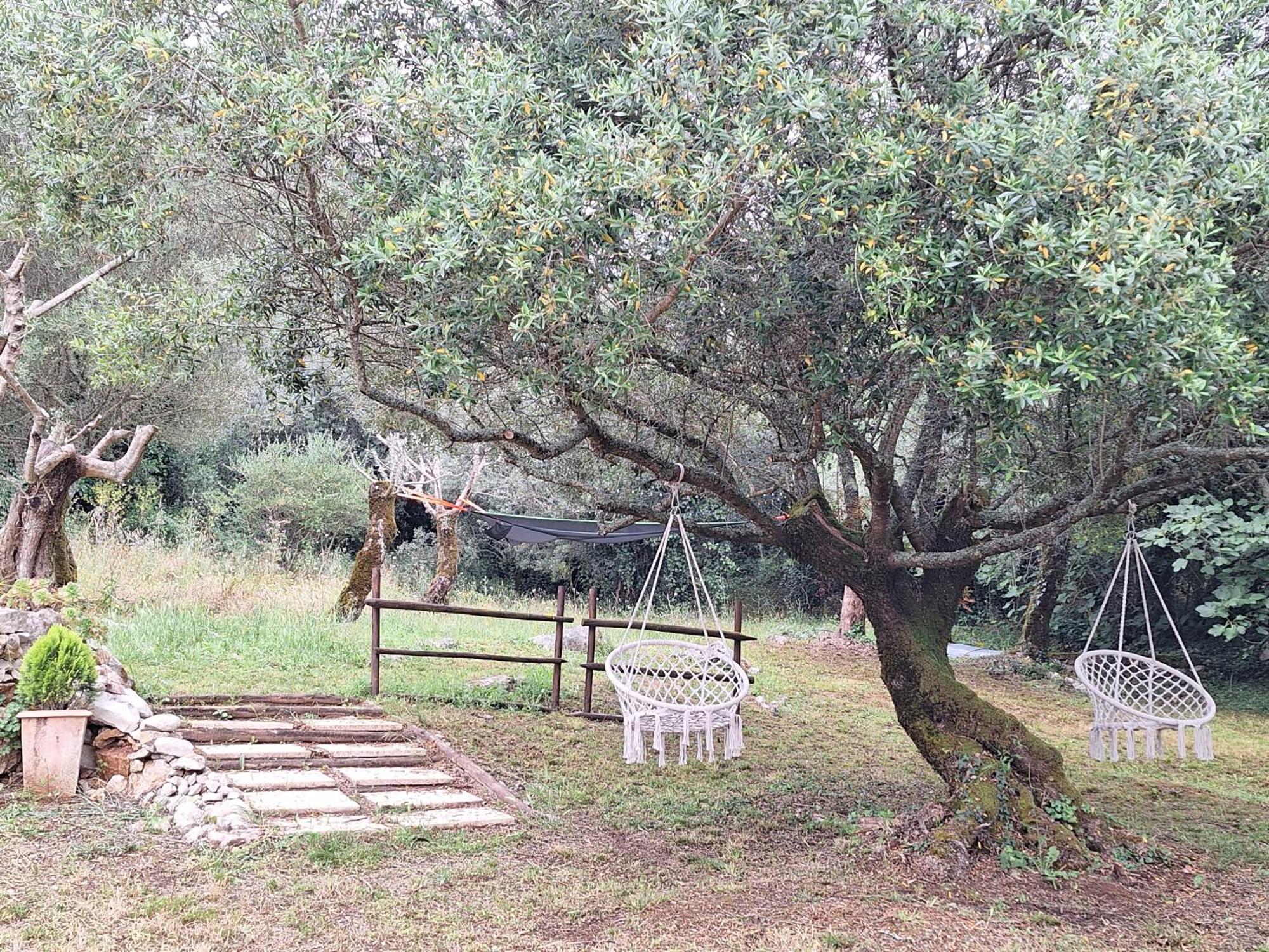 Moradia Rural De Charme Agradavel E Acolhedora Villa Arrimal ภายนอก รูปภาพ